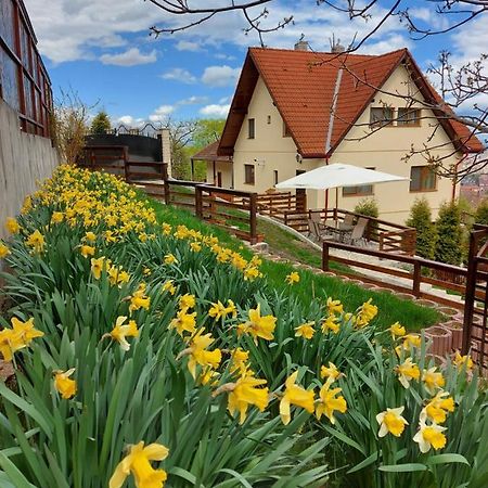 Apartament Matei Брашов Екстер'єр фото
