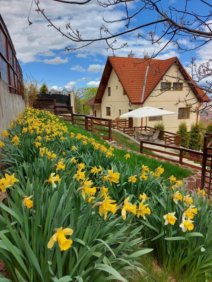 Apartament Matei Брашов Екстер'єр фото