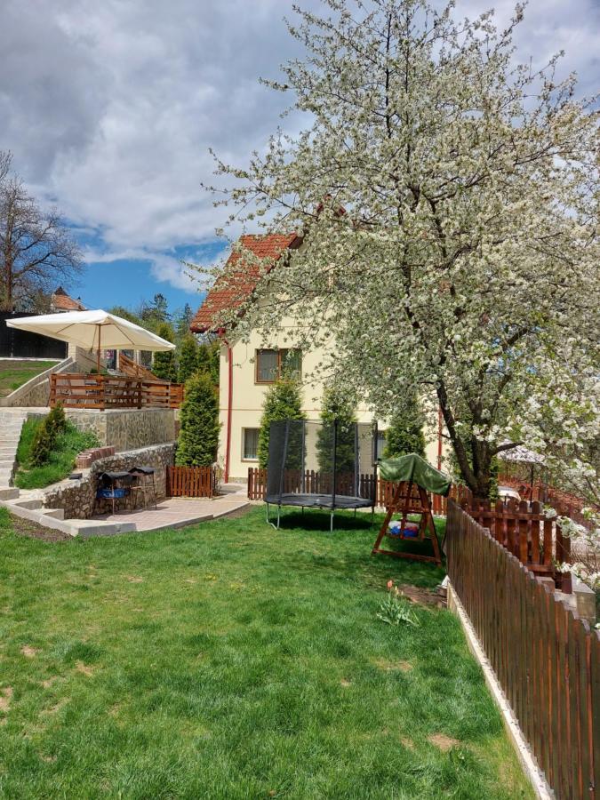 Apartament Matei Брашов Екстер'єр фото